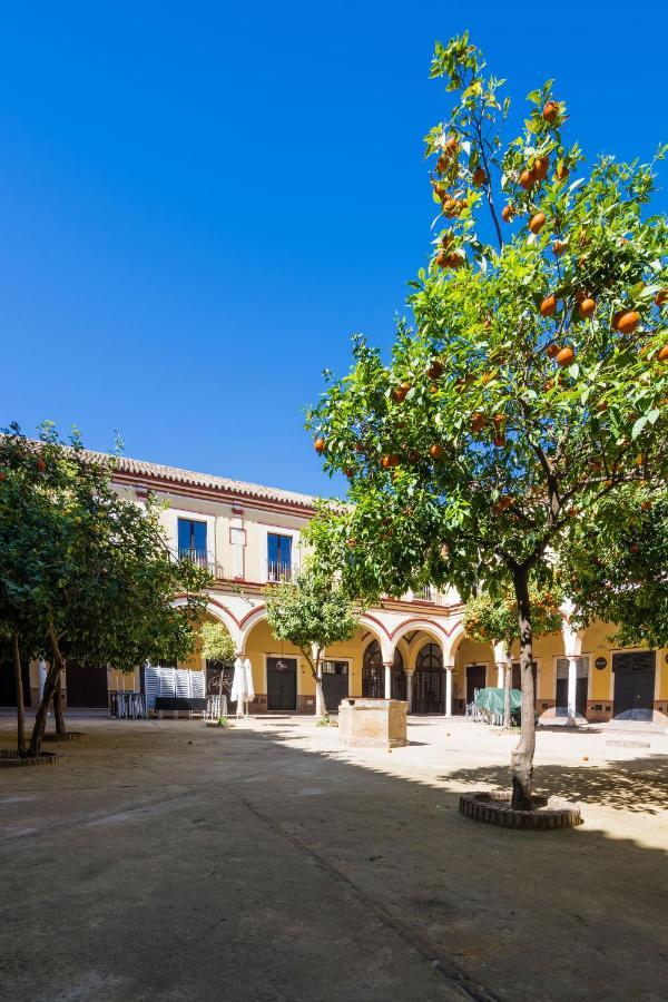 Sanlúcar de Barrameda Apartamento Historico Garaje Y Wifi מראה חיצוני תמונה